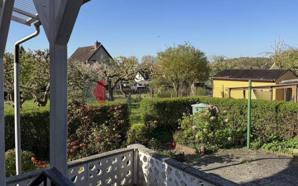 Blick ins Grüne
