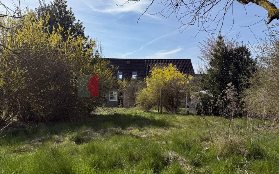 Garten 2