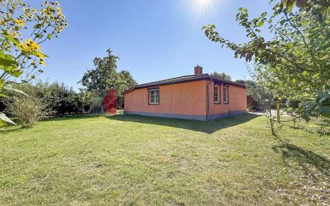 Garten & Haus