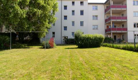 Gemeinschaftsgarten
